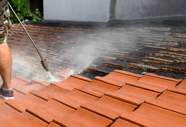 Best Commercial Building Pressure Washing  in Vineland, NJ
